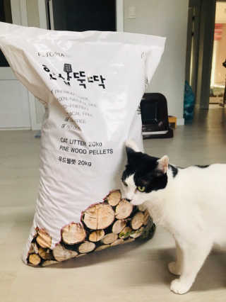 [펫토리아]한삽뚝딱 고양이모래 우드펠렛 흡수형 베딩 — 5점을 준 리뷰어가 2019년 6월 올린 사용 사진
