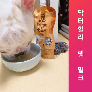 닥터할리펫밀크 8종 — 5점을 준 리뷰어가 2020년 2월 올린 사용 사진