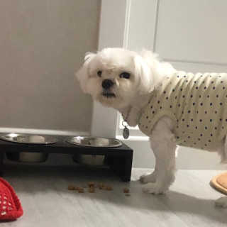 seungju님이 올린 리뷰 사진 3