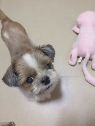 BaekMirye님이 올린 리뷰 사진 2
