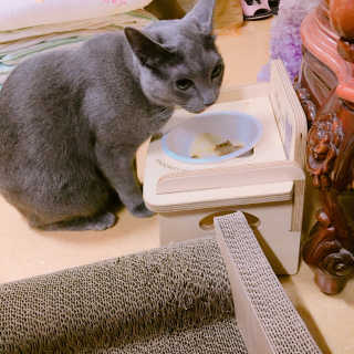 율집사님이 올린 리뷰 사진 2