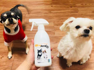 뽀라님이 올린 리뷰 사진 2