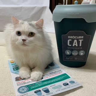 먼지님이 올린 리뷰 사진 3