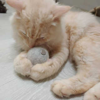 Lim님이 올린 리뷰 사진 3
