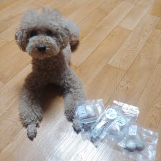 songyn님이 올린 리뷰 사진 2