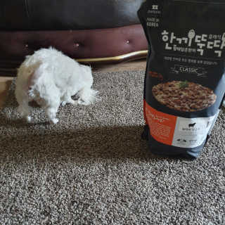 현짱님이 올린 리뷰 사진 3