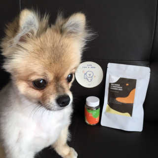 Ariel님이 올린 리뷰 사진 1