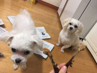 쮸동비님이 올린 리뷰 사진 1