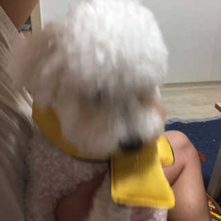 윤동규님이 올린 리뷰 사진 1