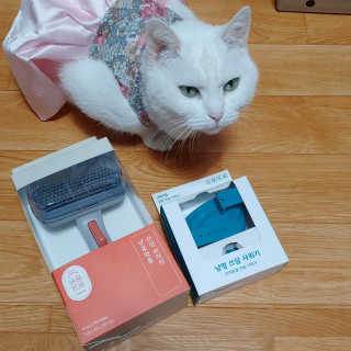 라온시연님이 올린 리뷰 사진 4