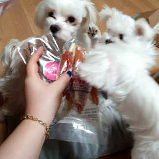 숮이님이 올린 리뷰 사진 3