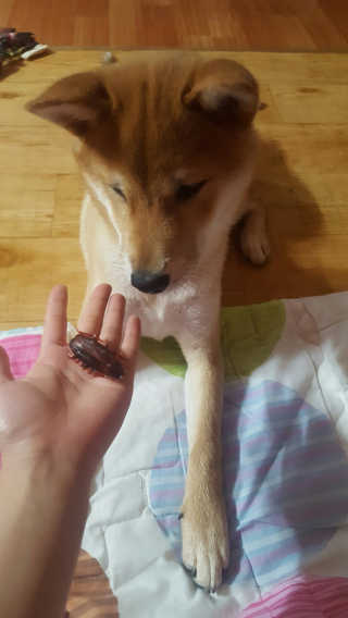 스블리님이 올린 리뷰 사진 2