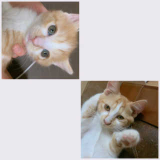 만쟈님님이 올린 리뷰 사진 1