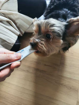 뎅님이 올린 리뷰 사진 1