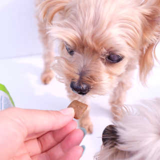 수수양님이 올린 리뷰 사진 3