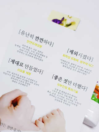 비글맘님이 올린 리뷰 사진 2
