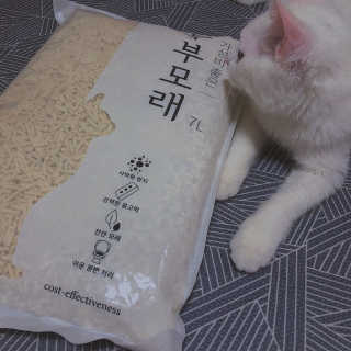 혜혜쥔님이 올린 리뷰 사진 2