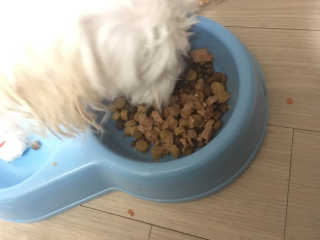 짓우님이 올린 리뷰 사진 4