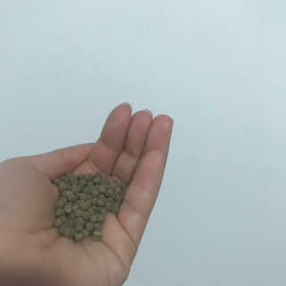 바디랩 오늘도 변모닝 7g 차전자피 식이섬유 — 5점을 준 리뷰어가 2018년 3월 올린 사용 사진