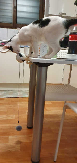 Juava님이 올린 리뷰 사진 2