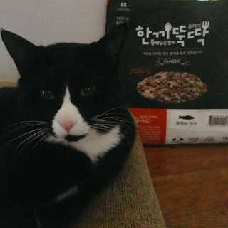 [펫토리아] 맛도 영양도 BEST 한끼뚝딱 강아지 사료 — 5점을 준 리뷰어가 2018년 12월 올린 사용 사진