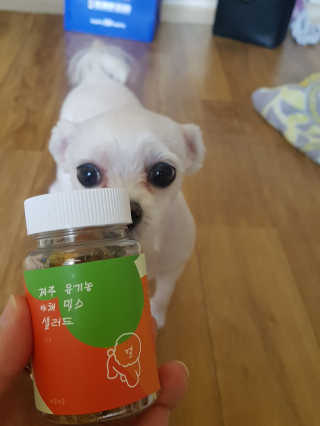 노다지님이 올린 리뷰 사진 4