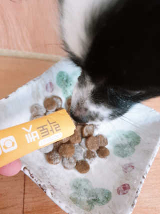 지뚜언니님이 올린 리뷰 사진 3