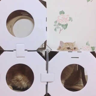 나르미르님이 올린 리뷰 사진 1