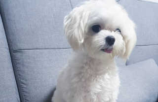 Ranny님이 올린 리뷰 사진 4