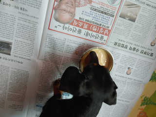 HajinLee님이 올린 리뷰 사진 3