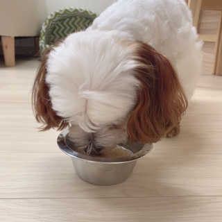 챔미님이 올린 리뷰 사진 4