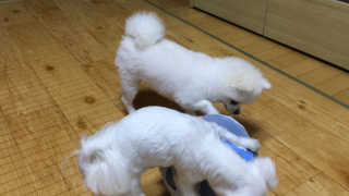 윤보라님이 올린 리뷰 사진 3
