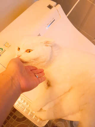 논지님이 올린 리뷰 사진 3