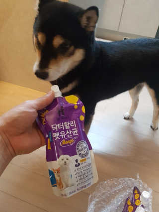 닥터할리펫밀크 8종 — 4.5점을 준 리뷰어가 2020년 1월 올린 사용 사진