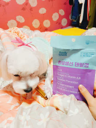푸디웜 주식회사 [푸디웜] 강아지 저알러지 수제간식 3종세트 — 5점을 준 리뷰어가 2018년 11월 올린 사용 사진