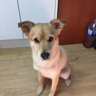 닥스훈트님이 올린 리뷰 사진 2