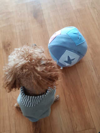 B님이 올린 리뷰 사진 1