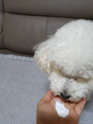 호두맘님이 올린 리뷰 사진 3