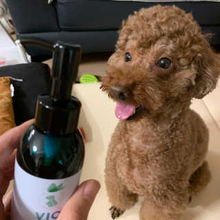 투밍님이 올린 리뷰 사진 3