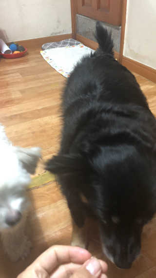 DaKeunSong님이 올린 리뷰 사진 4