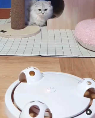 fively님이 올린 리뷰 사진 2