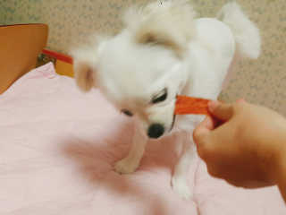 예진님이 올린 리뷰 사진 3