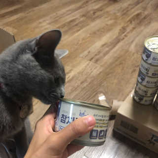 앨리스님이 올린 리뷰 사진 2