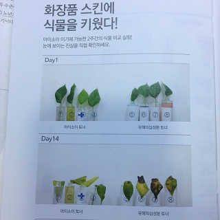 시카고 귀신앰플 — 5점을 준 리뷰어가 2019년 2월 올린 사용 사진