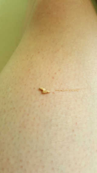 정광욱님이 올린 리뷰 사진 2
