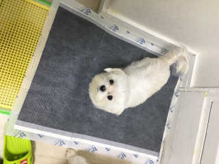 홍지윤님이 올린 리뷰 사진 3
