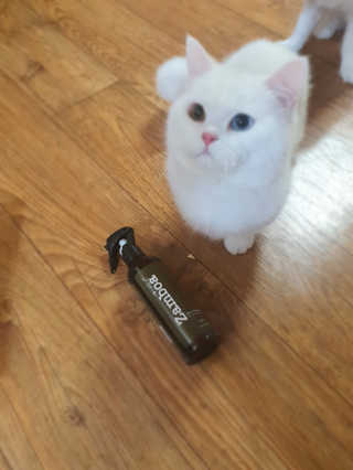 그리다님이 올린 리뷰 사진 3