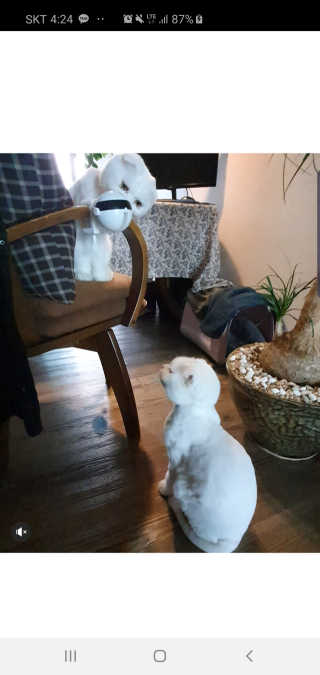 좋아님이 올린 리뷰 사진 1