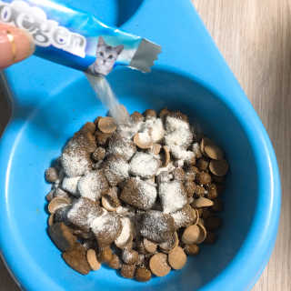 짓우님이 올린 리뷰 사진 4