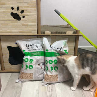 찌응이님이 올린 리뷰 사진 2